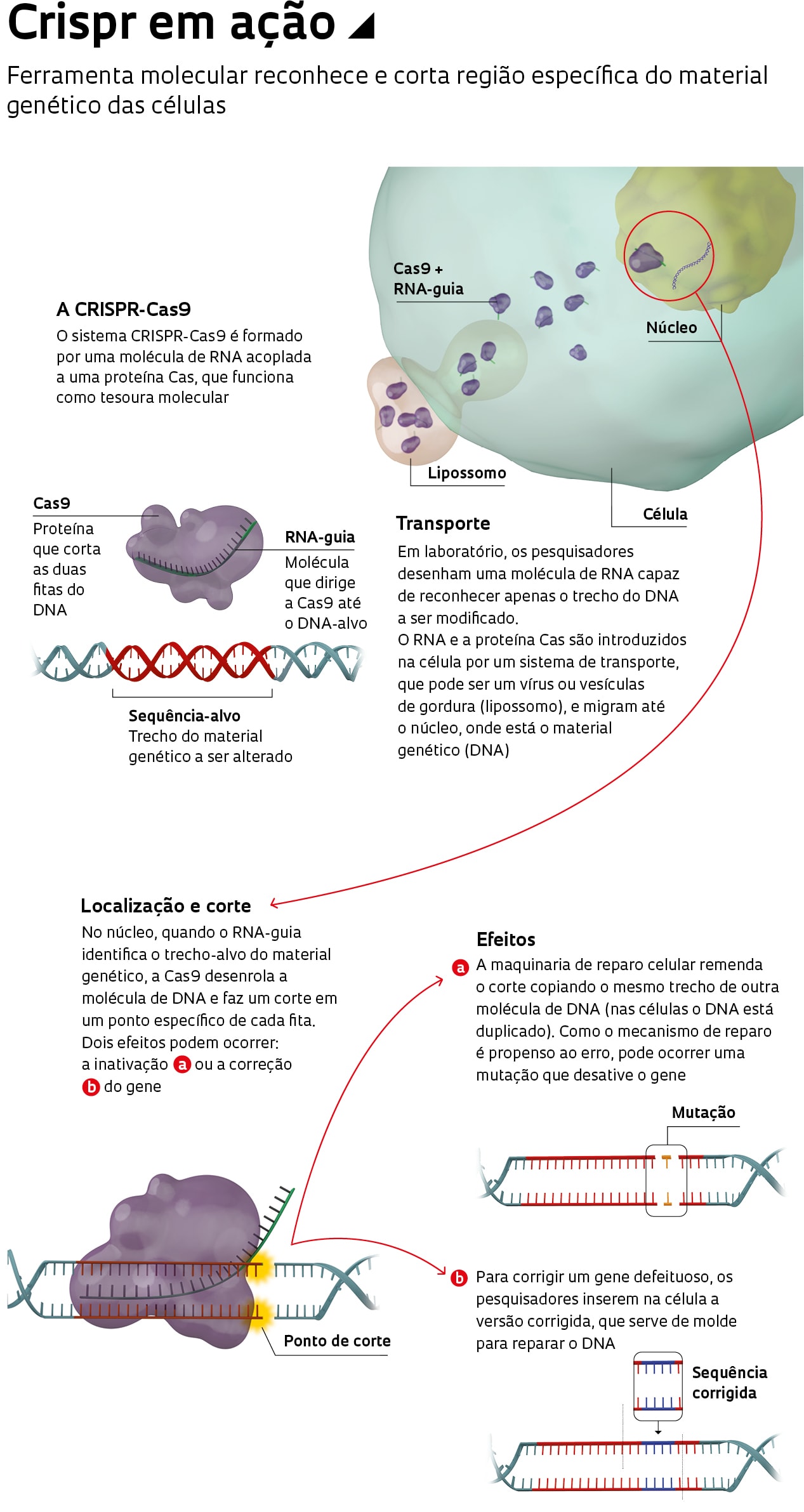 A tesoura dos genes - Nexo Jornal