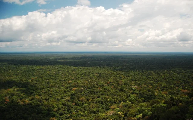 Como e por que o Brasil deve aliar economia e ecologia