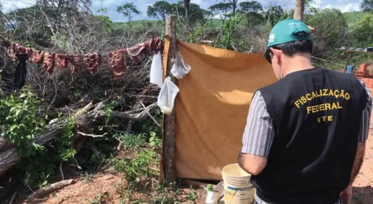 Paralisação de auditores fiscais levanta questões sobre trabalho escravo