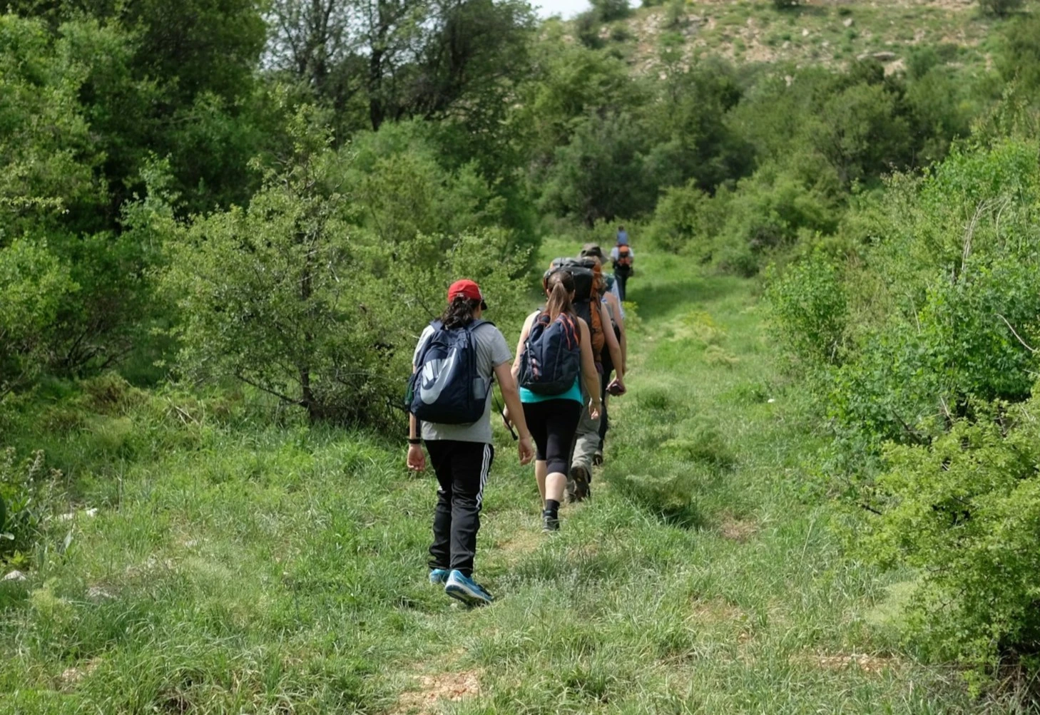Grupo caminha durante trilha