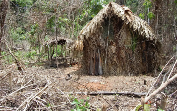 Tapiri construído pelo "Índio do Buraco"