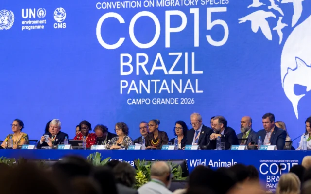 Qual a importância da COP das espécies migratórias