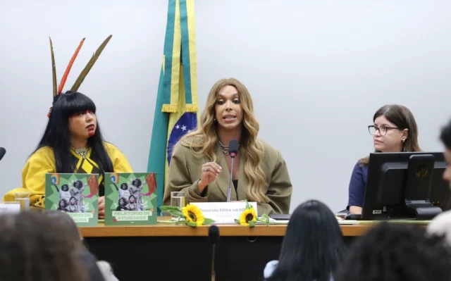 Quem presidiu a Comissão da Mulher desde a sua criação