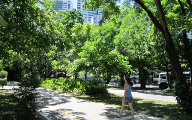 Como a privatização afeta o comércio nos parques do Recife