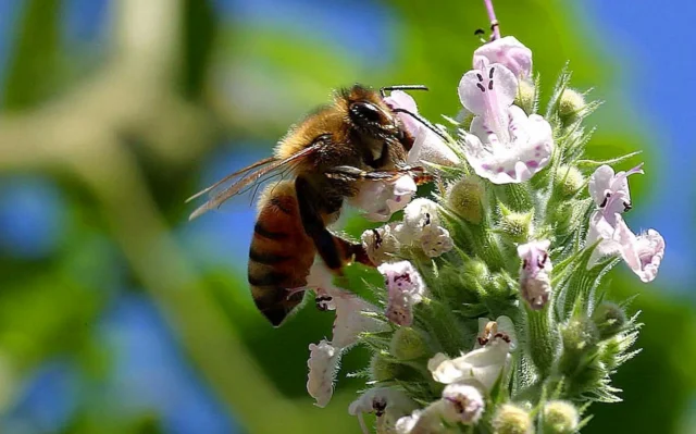 Ficção climática discute crise ambiental e novas formas de relação com a natureza
