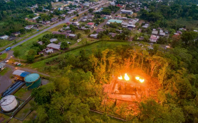 Como a arbitragem internacional afeta normas ambientais