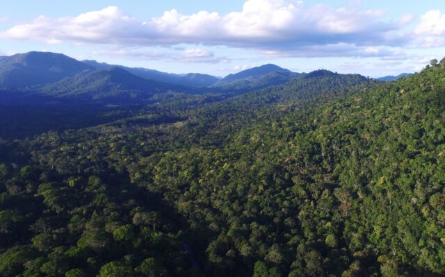 A Mata Atlântica é prioridade para adaptação climática
