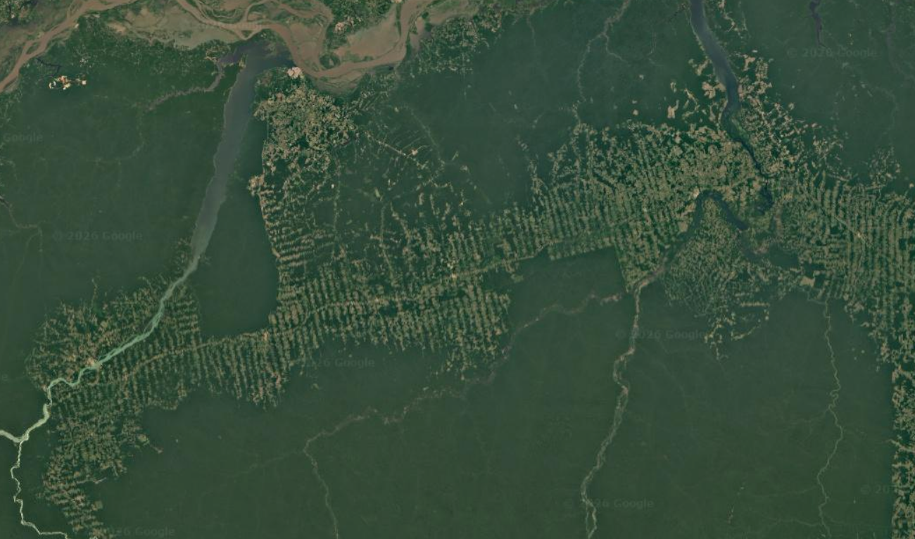 Efeito espinha de peixe no Pará, em torno da BR-230