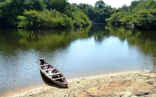 O calor como força narrativa na literatura amazônica
