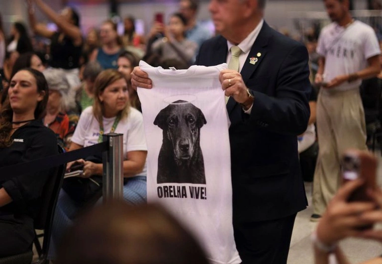 Camiseta em homenagem ao cão Orelha
