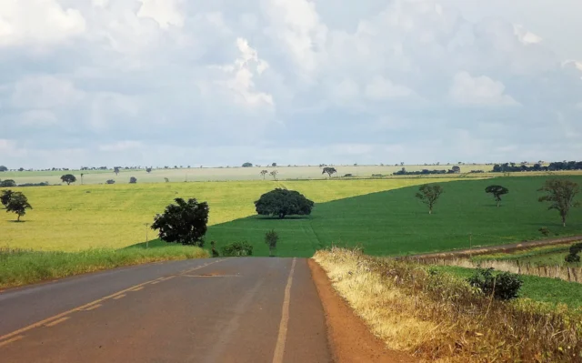 Como funciona a estabilidade da coalizão em Goiás