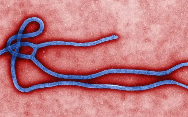 O que você precisa saber sobre o surto de ebola no Congo