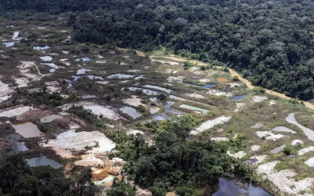 Governo expulsa garimpeiros de área indígena, mas não desmonta rede ilegal do ouro no Pará, aponta relatório