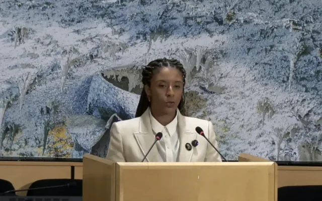 O papel do Fórum da ONU na agenda racial brasileira