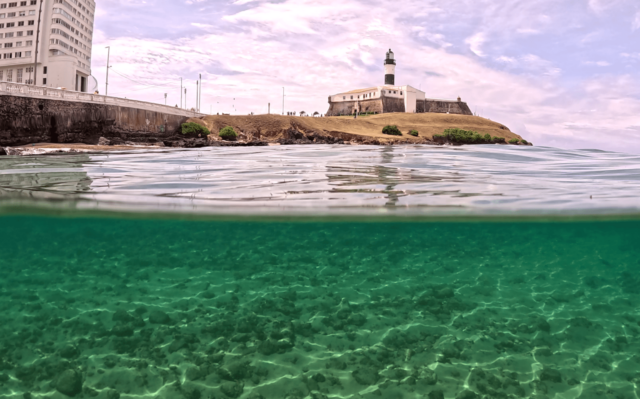 O que falta para o Parque Marinho da Barra funcionar