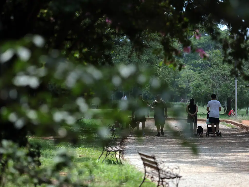 Pessoas no Parque Ibirapuera durante passeio